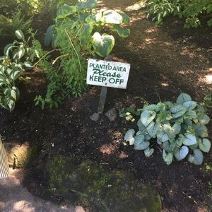 Meet your Posher, Alexa